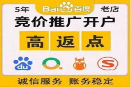 案例解析：如何通过推广竞价提升品牌知名度